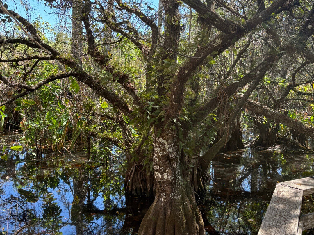 螺旋沼泽鸟兽禁猎区-那不勒斯必去景点