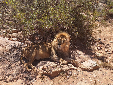 Celtic Manor Boutique Guest House主图