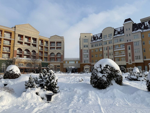 Radisson Resort, Zavidovo主图