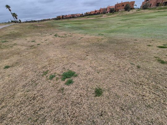 PalmGolf Marrakech Ourika-马拉喀什必去景点