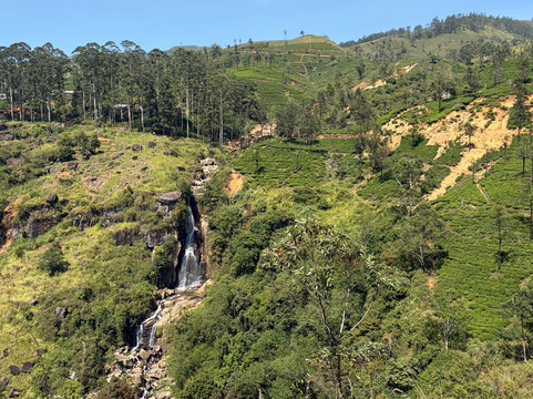 Ancient space tour srilanka-埃勒必去景点