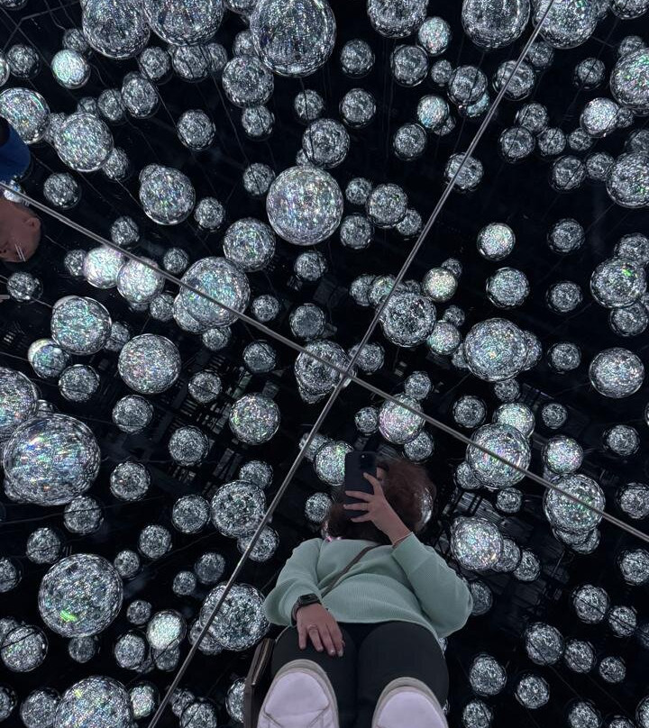 Teamlab Borderless Tokyo-港区必去景点