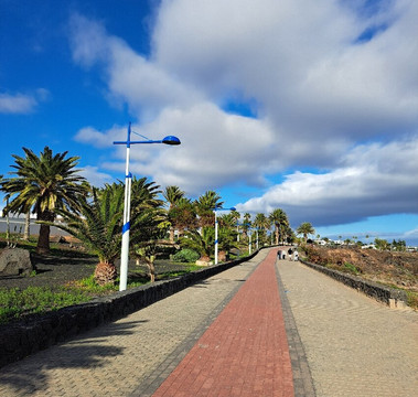 Papagayo Bike - Costa Teguise-科斯塔特吉塞必去景点
