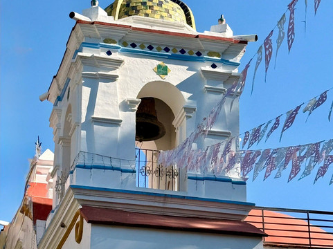 Tule Tree-Santa Maria del Tule必去景点