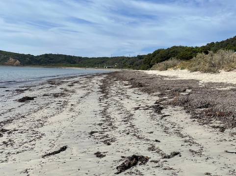 Kennon Cove Beach-弗林德斯必去景点