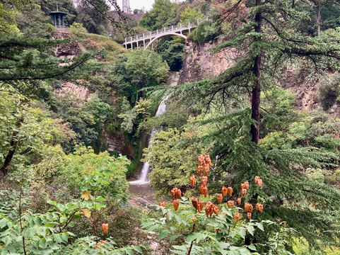 National Botanical Garden of Georgia-第比利斯必去景点