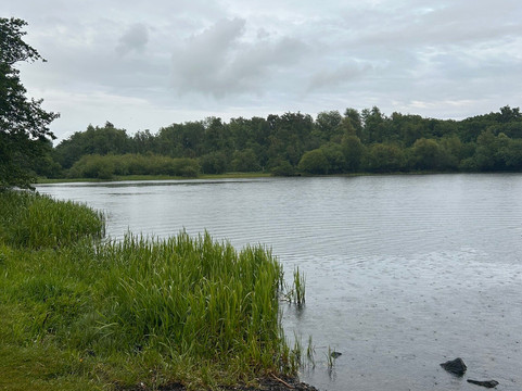 Lochore Meadows Country Park-Lochgelly必去景点