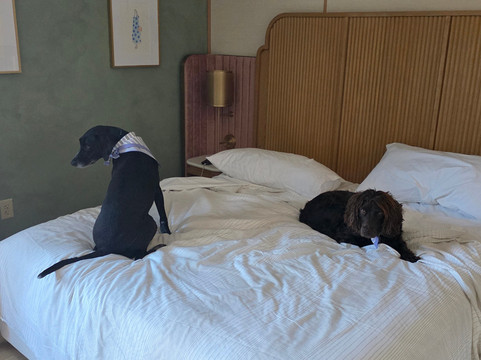 萨凡纳巴尔多酒店主图