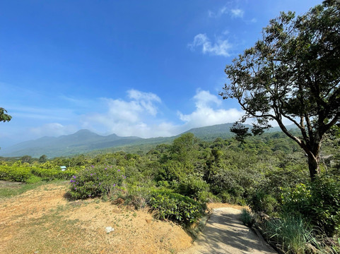 Rosewood Manor主图