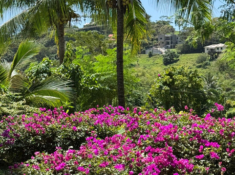 Home Hospitality Grenada-St. George's必去景点