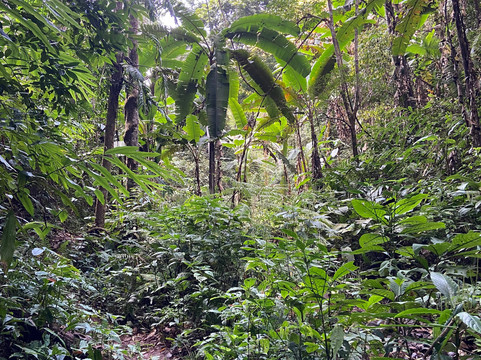 Into the Wild Laos-琅南塔必去景点
