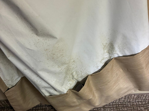 恩波里亚贝斯特韦斯特酒店主图