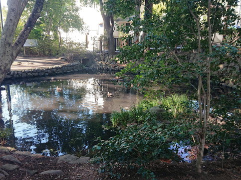 Benzaiten Pond-狛江市必去景点