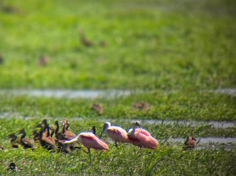 No Limit Adventures CR-利比里亚必去景点