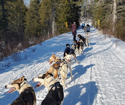 Kiwatchi Adventures-Isabella必去景点