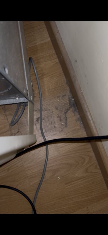 班尼派克得酒店-官方