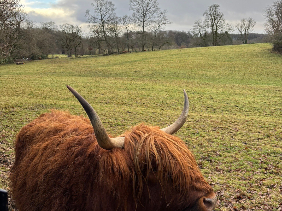 波勒克公园-格拉斯哥必去景点