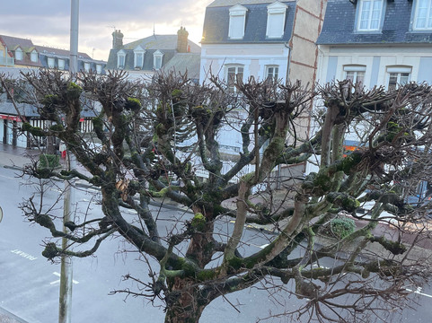 香蒂利酒店主图