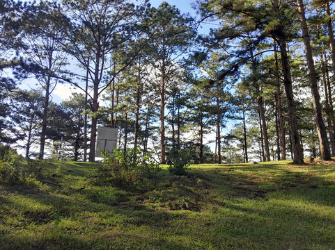 Lang Biang Trail-大勒必去景点