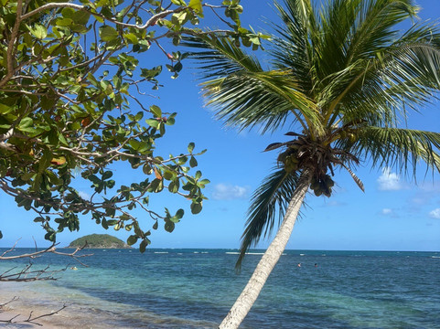Plage de Cosmy-La Trinite必去景点