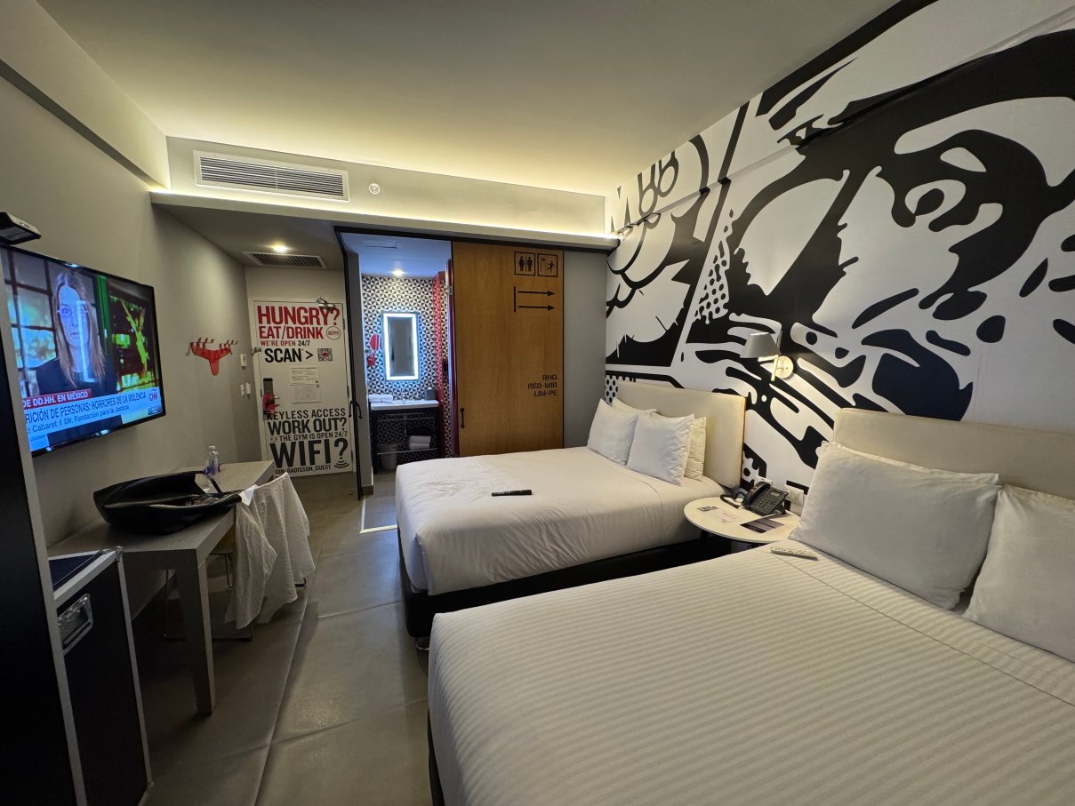 丽笙RED米拉弗洛雷斯-客卧