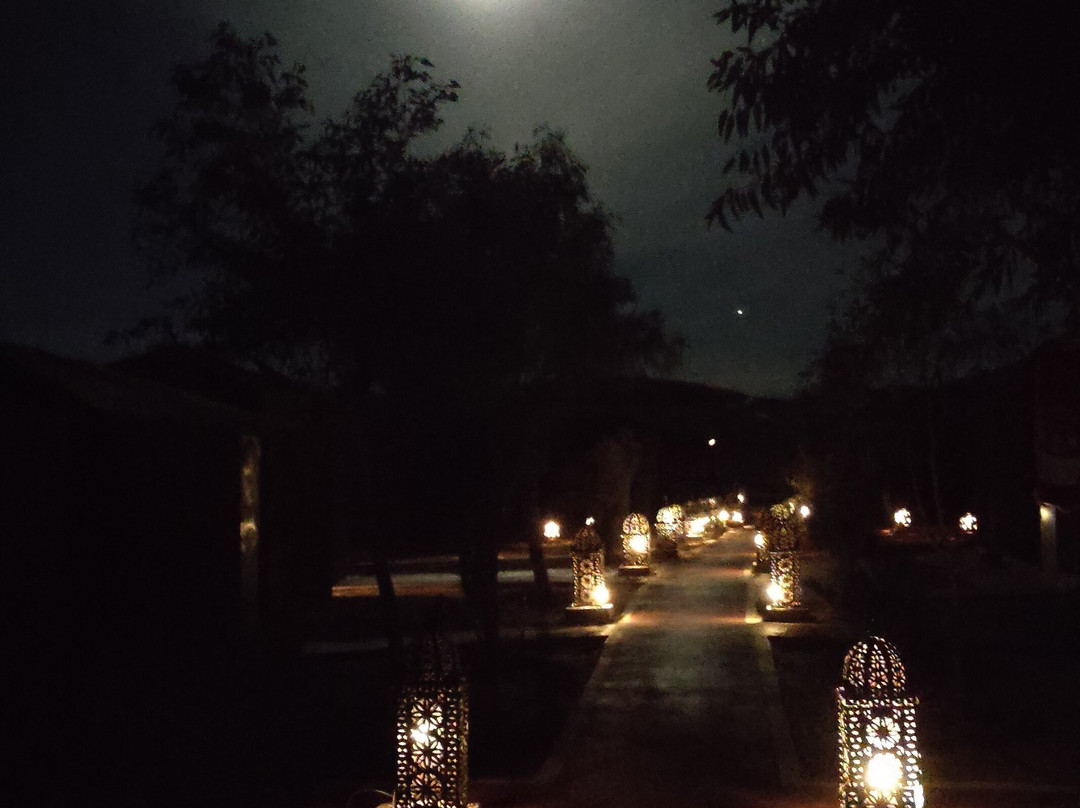 Camel Trip Morocco-梅如卡必去景点