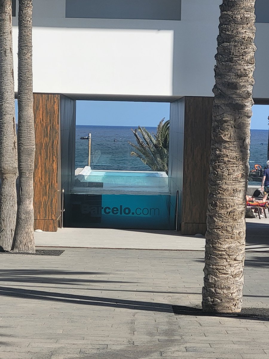 巴塞罗特吉塞海滩酒店-限成人-泳池