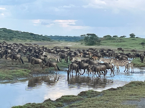 Tanzania-Experience-阿鲁沙必去景点