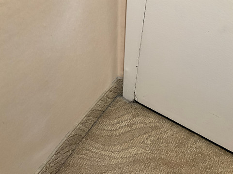 太平洋棕榈度假村主图