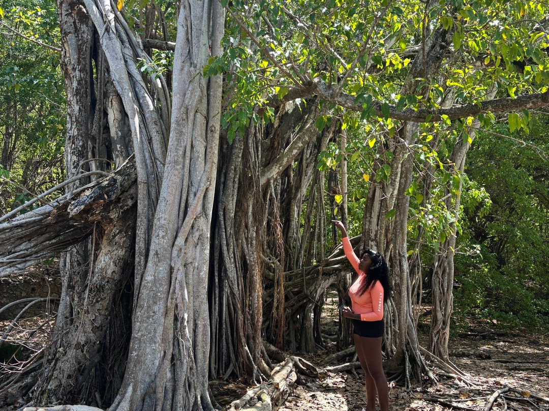 Matt'Excursions Nautiques-Le Francois必去景点