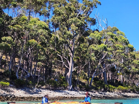 Southern Sea Ventures-霍巴特必去景点