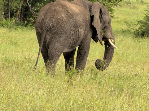 Watatu Travel-阿鲁沙必去景点