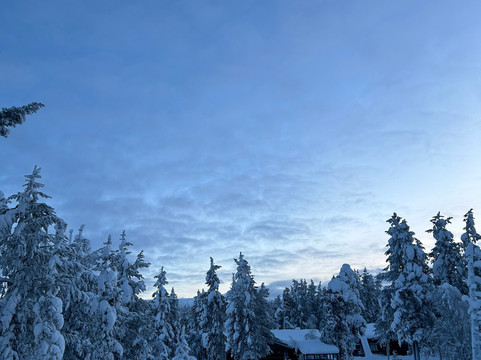 贾弗里酒店主图