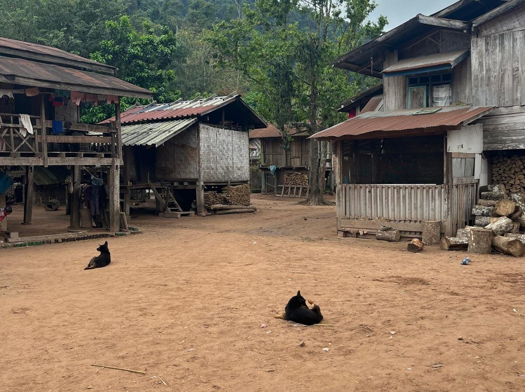 Phou Iu Travel & Ecotourism-琅南塔必去景点