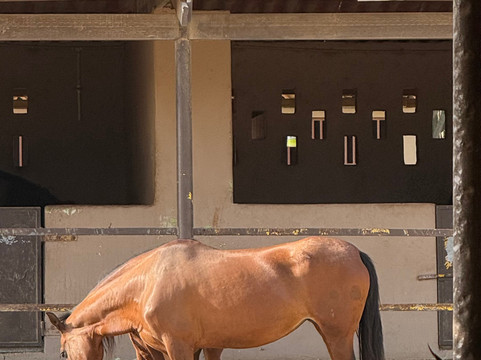 Rancho Loco-Santa Cruz必去景点