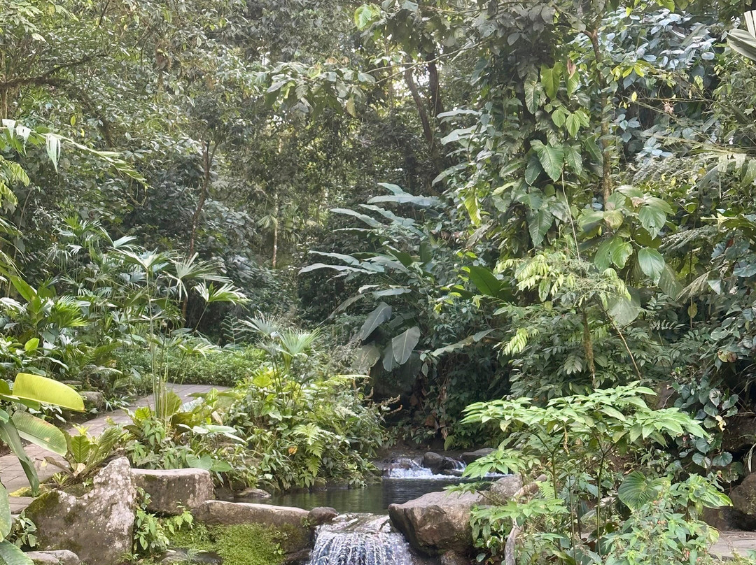 Kurú Natural Springs-福德圣卡洛斯必去景点