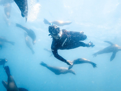 Murillos Bros Adventours-Puerto San Carlos必去景点