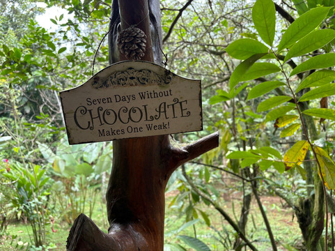 Two Little Monkeys Chocolate Tour-福德圣卡洛斯必去景点