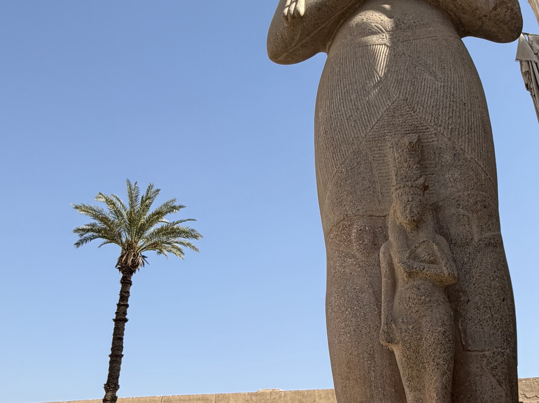 Fenix Red Sea-Hurghada 2必去景点