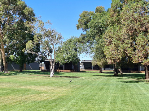 Buller Wines-卢森格林必去景点