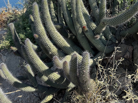 Mt. Solmar-卡波圣卢卡斯必去景点