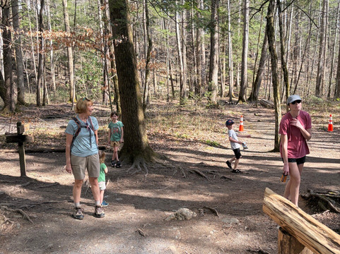 Cataract Falls-大雾山国家公园必去景点