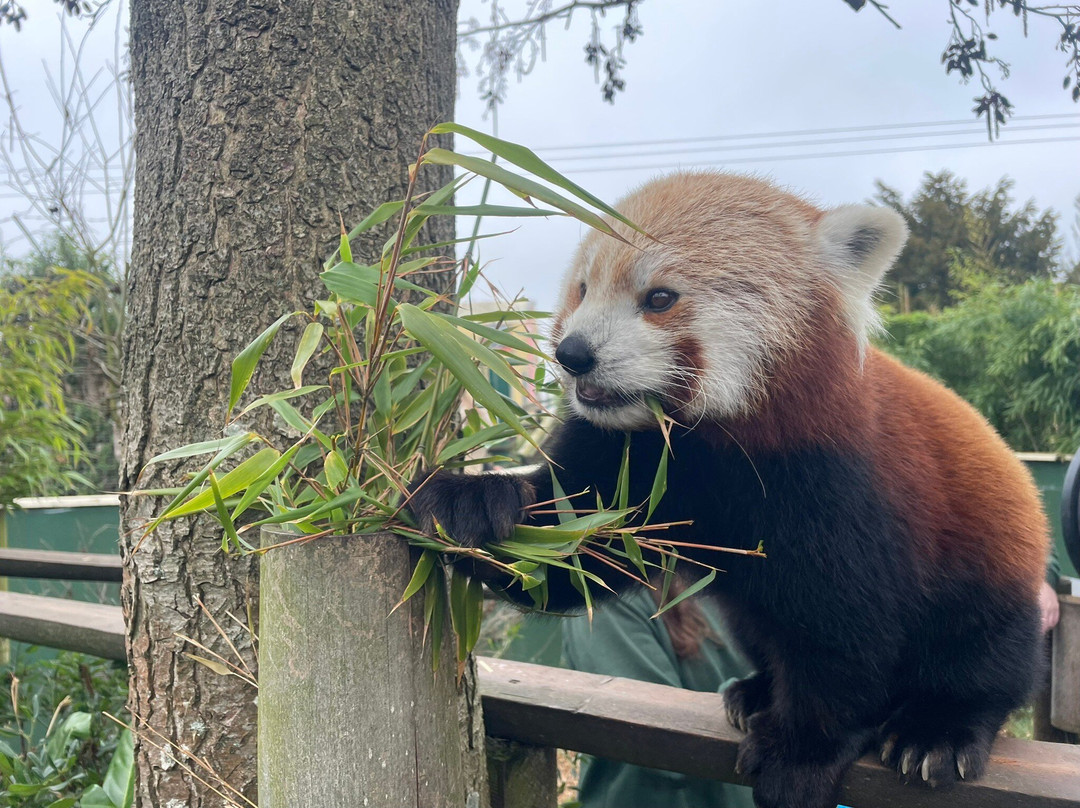 Shepreth Wildlife Park-Shepreth必去景点