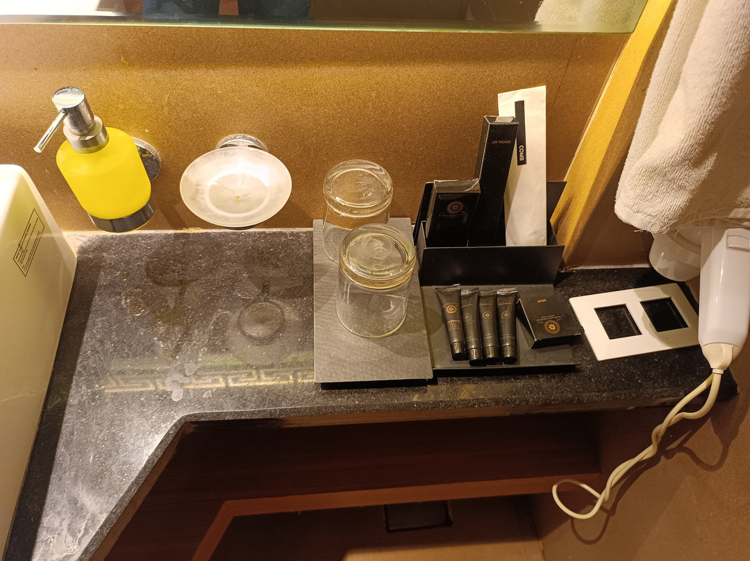 Vatika Premier Hotel主图