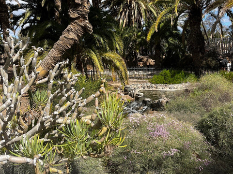 Parque Tony Gallardo-马斯帕洛马斯必去景点