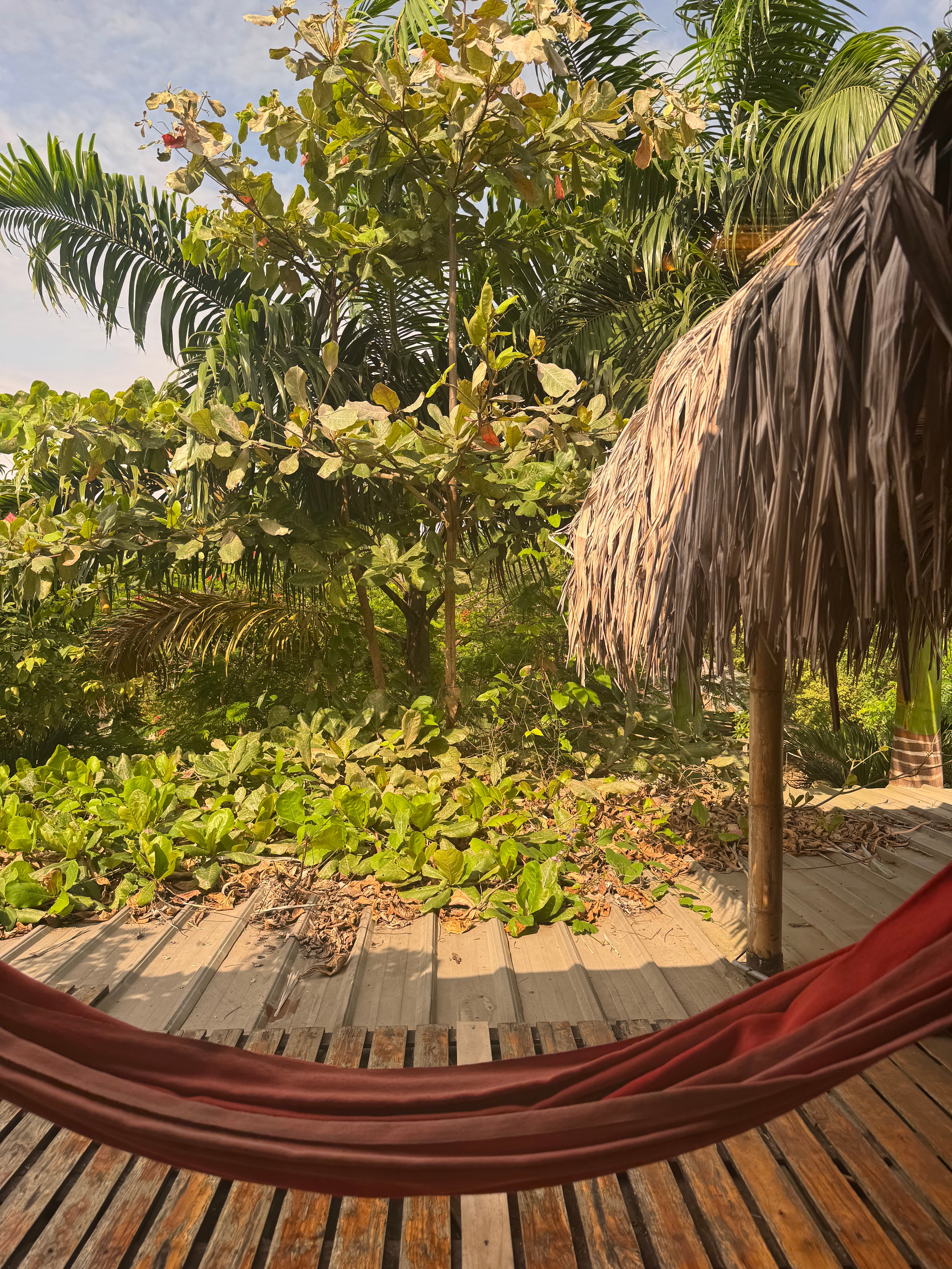 Vistamar Guest House-官方