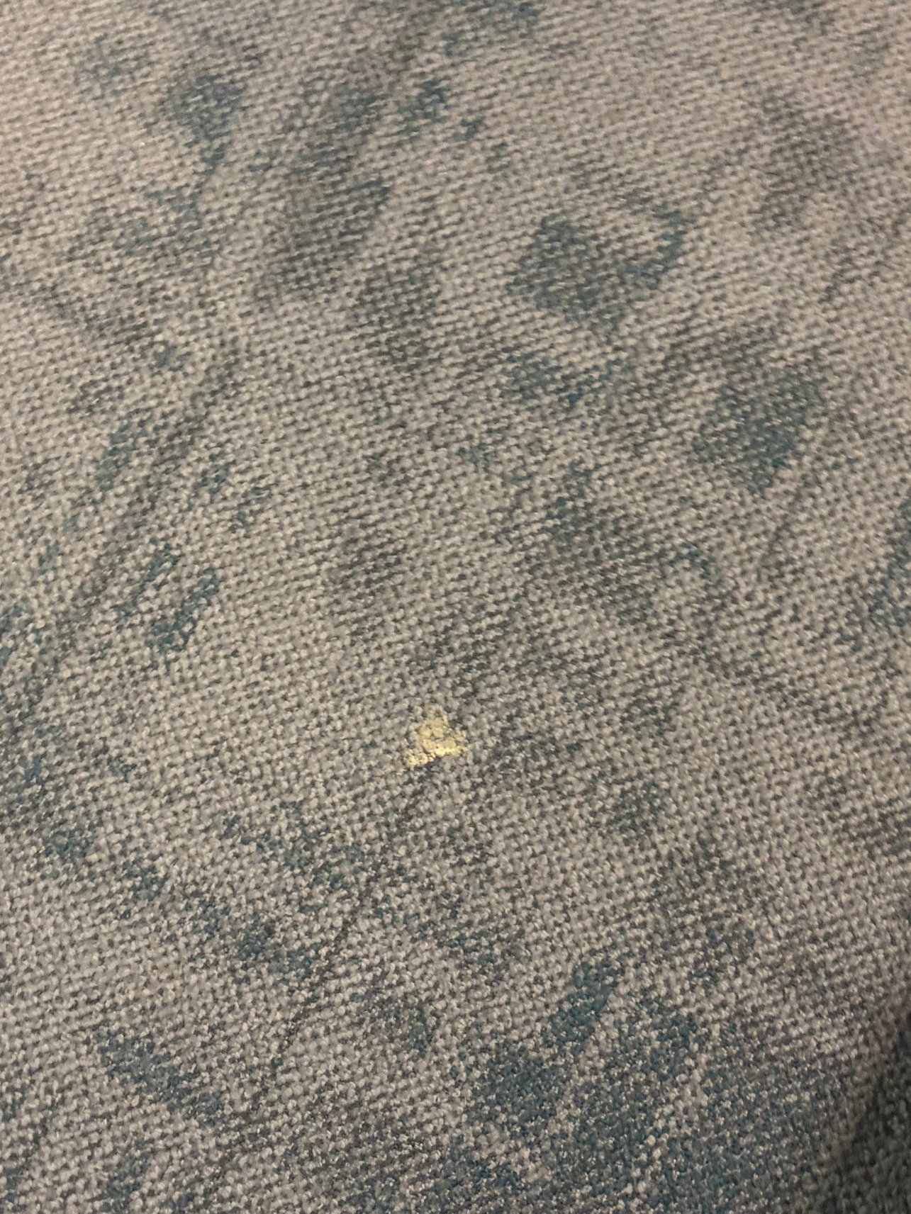 Wingate by Wyndham Richmond Short Pump-官方