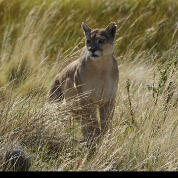 Iso100 Outdoor-Torres del Paine必去景点