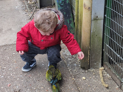 Lincolnshire Wildlife Park-Friskney必去景点