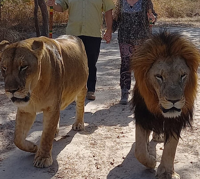 Fathala Wildlife Reserve-Dassilame Ba必去景点